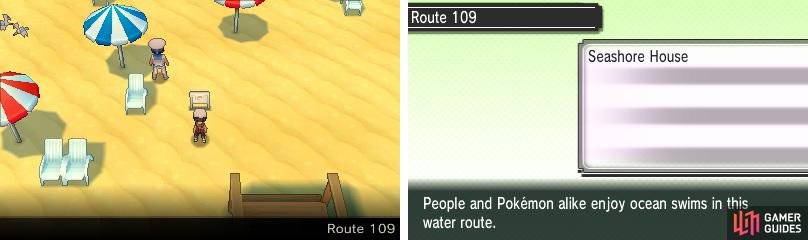 A relaxing beach if it weren&rsquo;t for the horde of furious Pok&eacute;mon Trainers.