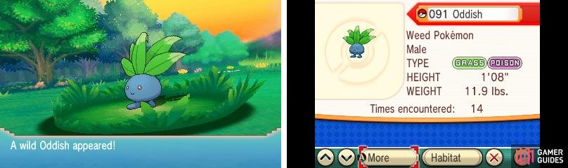 Funnily, you&rsquo;re better off with an Oddish with its normal ability (Chlorophyll).