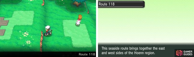 Another route divided into two by a body of water. (This game sure is a tease&hellip;)