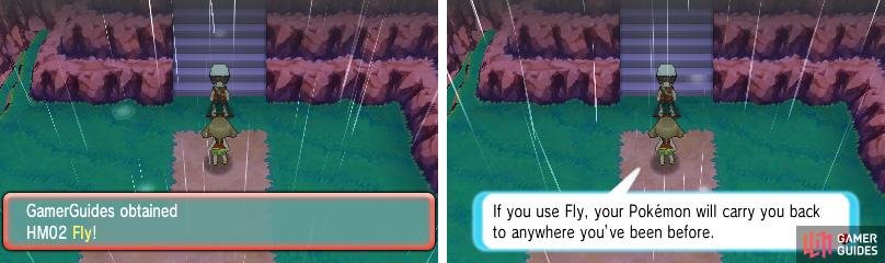 Fly makes it super easy to revisit locations, but you&rsquo;re currently missing a badge to use it.