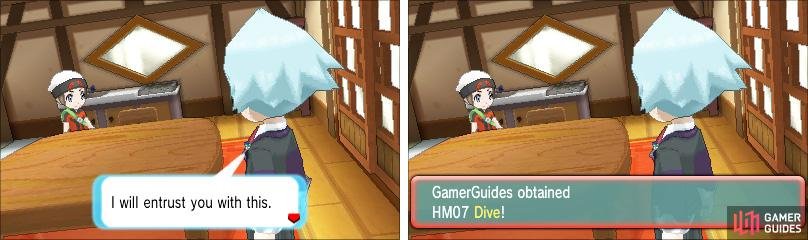 Your poor Water-type Pok&eacute;mon needs to make space for this HM.