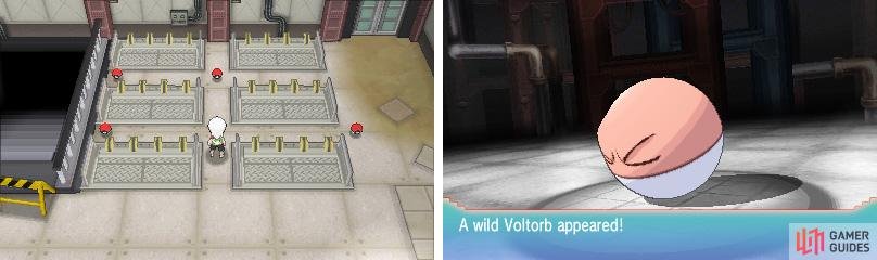 Voltorbs disguised as items, just like in the old games&hellip;