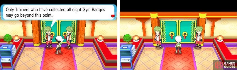 Pick your Pok&eacute;mon carefully as you can&rsquo;t change them after accepting the challenge!
