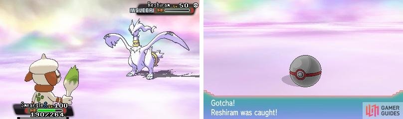 We have a Shiny Reshiram. Sorry, we&rsquo;re keeping it!