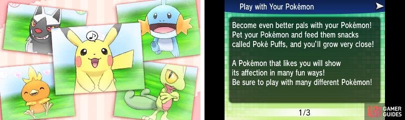 Here, you can play with your Pok&eacute;mon to become better friends.
