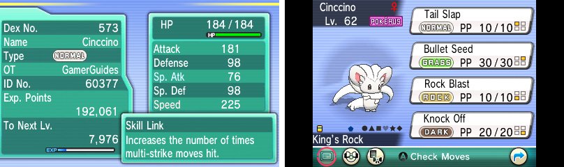 You won&rsquo;t get a Cinccino like this without extensive breeding.