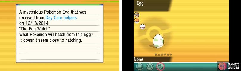 Without external software, it&rsquo;s impossible to know what&rsquo;s inside the Egg.