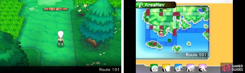 If it&rsquo;s your first time in Hoenn, keep your map handy.