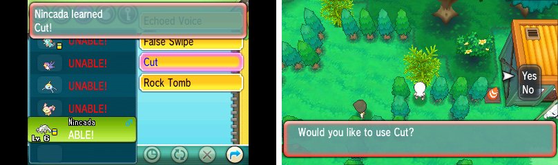 Pok&eacute;mon can be helpful outside of battle too.