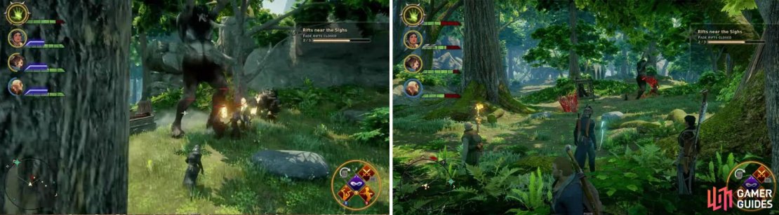 They tower over most living creatures in Thedas at tall heights, and are described as being very much like a &ldquo;Troll&rdquo;.