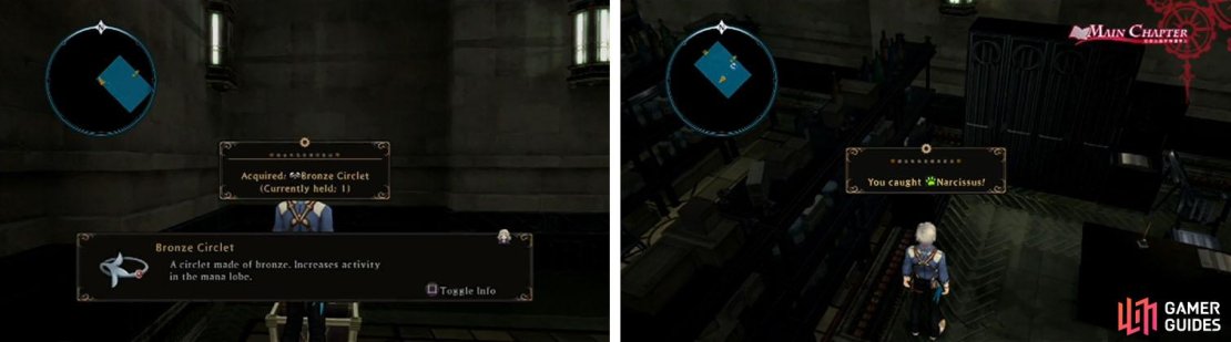 Don&rsquo;t forget to stop in the 13F Laboratory to grab Narcissus before you leave.