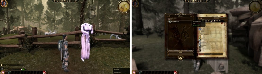 Examining the various statues gives Codex updates about the many gods of the Dalish. You can get your mother&rsquo;s effects from her chest by speaking to members of camp.