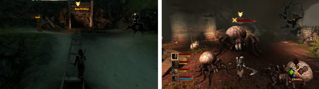 Enter the cave and destroy all of the spiders inside to finish the quest.
