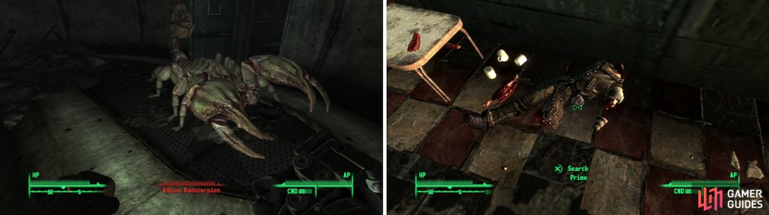 Albino Radscorpions are the kings of the insect world (left). Whatever killed Prime wasn&rsquo;t interested in his equipment, but you should be (right).