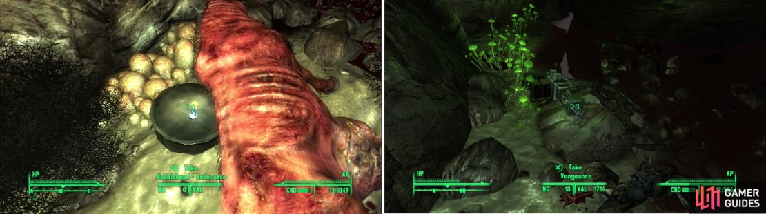 Grabbing the Bobblehead - Endurance doesn&rsquo;t require you to venture too deep into the Deathclaw Sanctuary (left), but there are prizes in the depths worth obtaining (right).