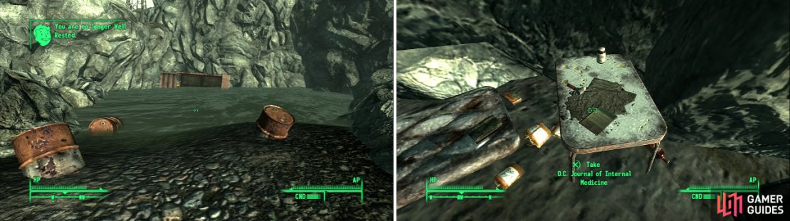 You&rsquo;ll find this pond north, north-east of the MDPL-21 Power Station (left). Brave the Rads and swim behind the over-turned truck bed to find some loot (right).