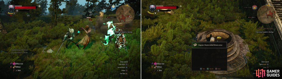 More elven ruins - protected by more Wraiths - wait to be plundered (left). Search a well for the Diagram: Mastercrafted Wolven Armor (right).