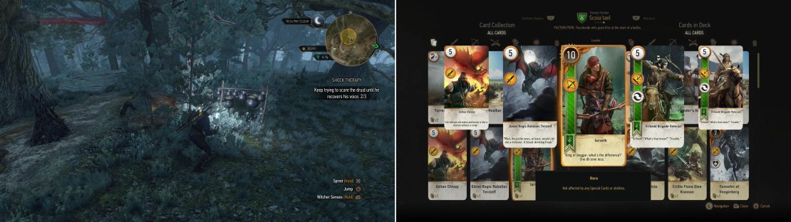 Harrass the druid until he breaks his vow of silence (left) then claim your reward-the &ldquo;Iorveth&rdquo; Card, from the druid who hired you (right).