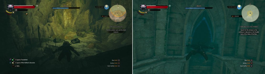 You&rsquo;ll find some treasure in some flooded elven ruins (left), as well as the portal to Moreau&rsquo;s laboratory (right).