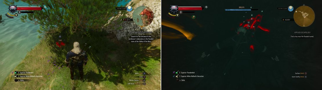 Search under a tree to find the Escape Artist&rsquo;s Journal (left) then swim into the submerged part of the prison to find a key on a skeleton (right).