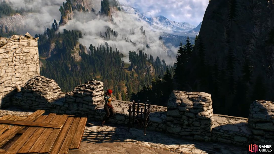 Here is a walkthrough for the Battle of Kaer Morhen&rsquo;s main mission in Witcher 3.