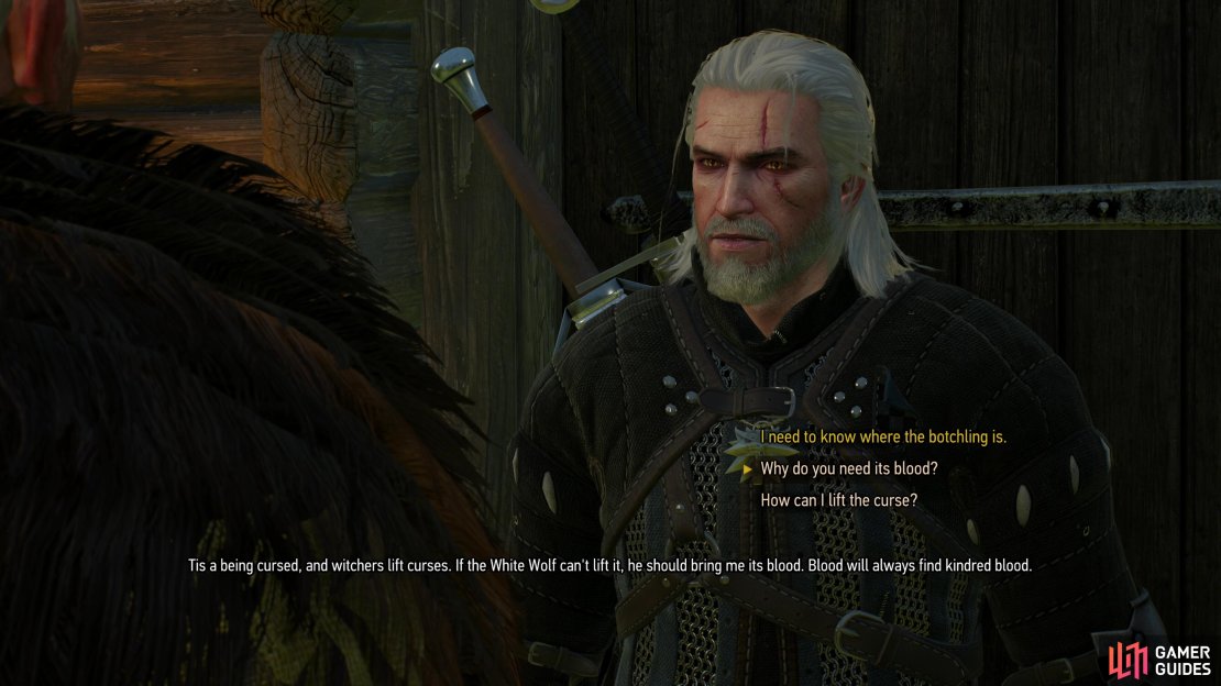 After you get your augury, you can ask about the two ways to deal with the Botchling, which will be the next major objective during the quest &ldquo;Family Matters&rdquo;.