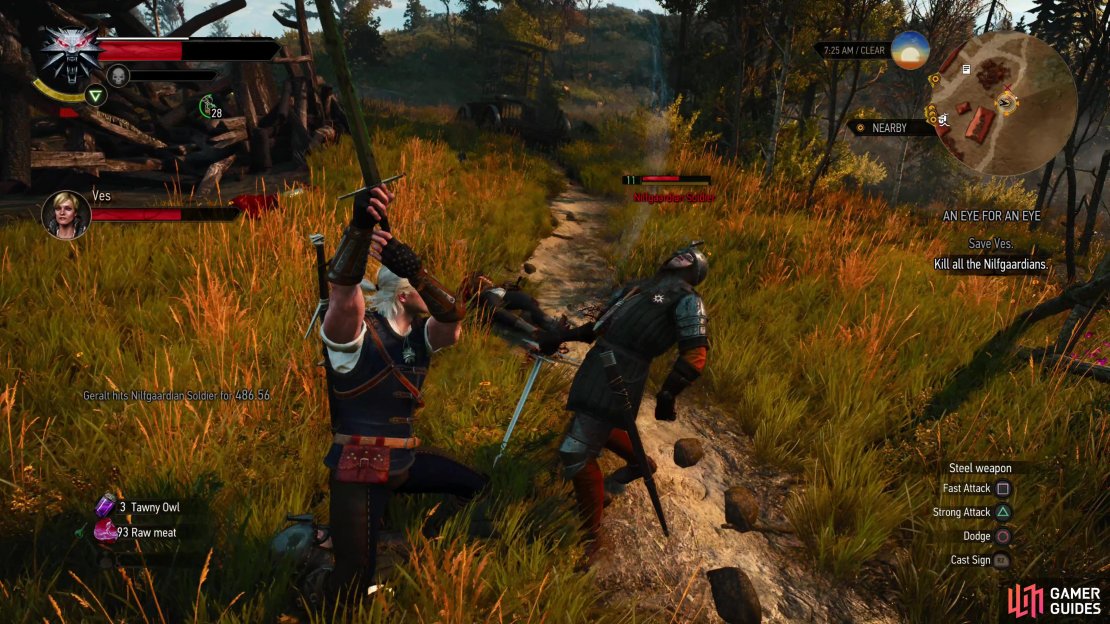 After talking to Roche, killing the Nilfgaardians in Mulbrydale, starting with some standard soldiers,