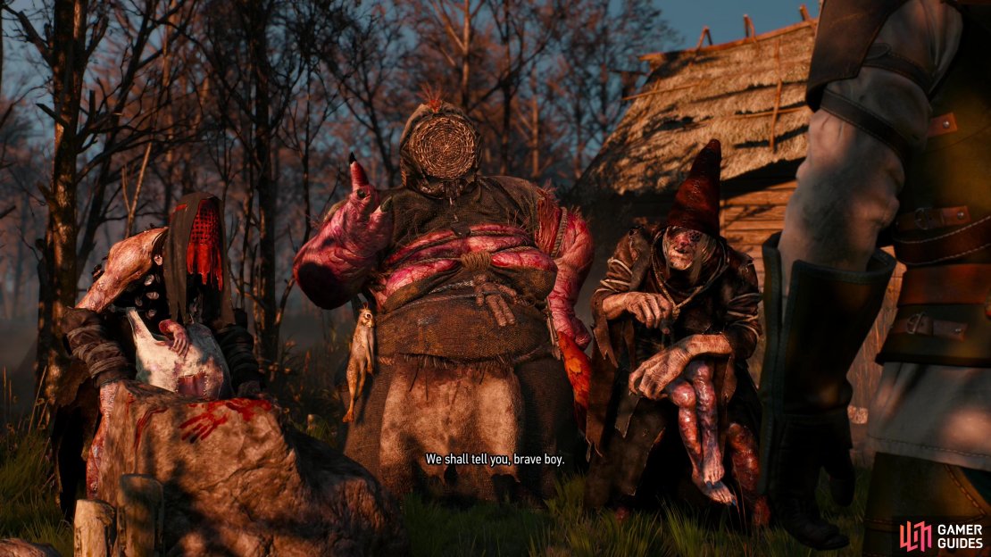 Complete a task for the Crones and they&rsquo;ll relate to you the story of how they met Ciri.