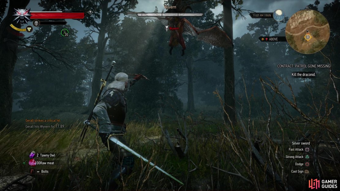 Like most flying foes, the Wyvern can be shot out of the sky.