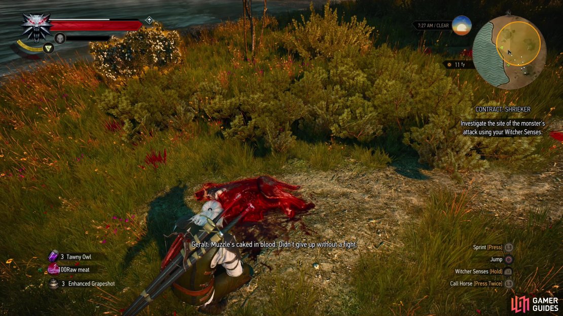 Examine the corpse of a dog and some nearby tracks,