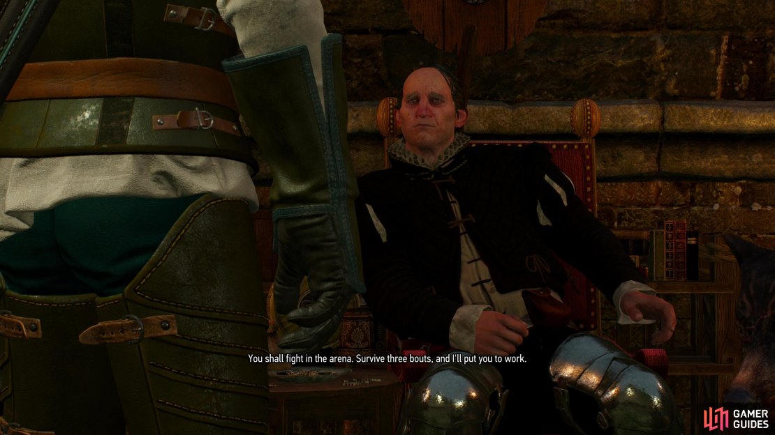 Enter the arena, talk to Igor, avoid mentioning Whoreson Junior, and agree to fight in the arena.