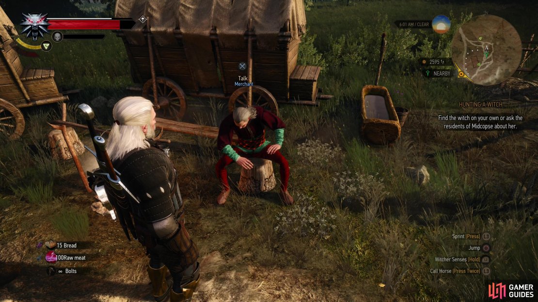 If you have Hearts of Stone installed, there will be an elven merchant northeast of Carsten,