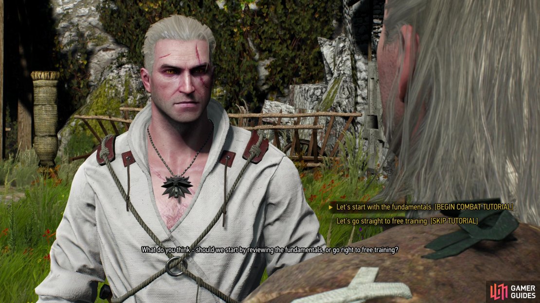 After running the walls you&rsquo;ll be offered a combat tutorial, courtesy of Vesemir.