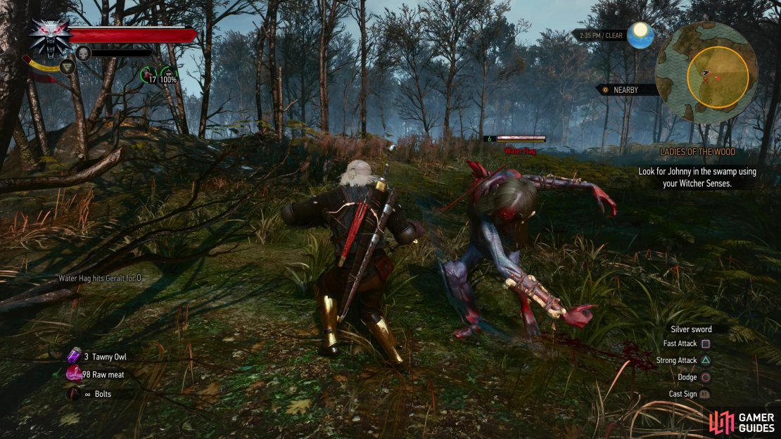 Defeat a Water Hag and some Drowners,