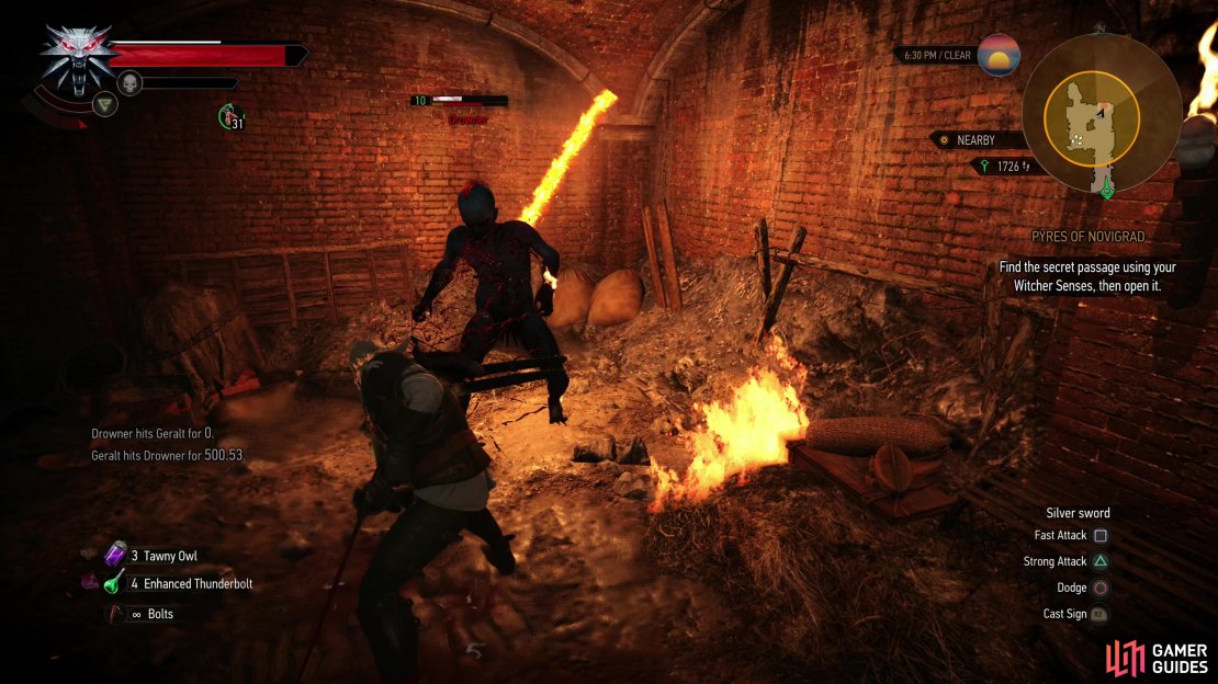 Join forces with Triss to defeat a Drowner,