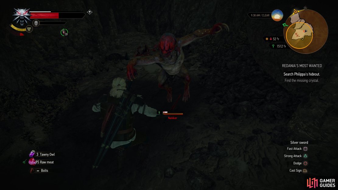 Kill some more Nekkers in a pit,