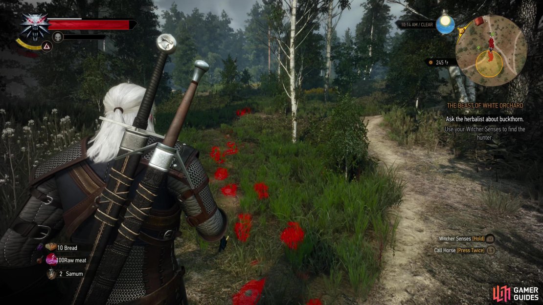 Track the hunter into the woods,