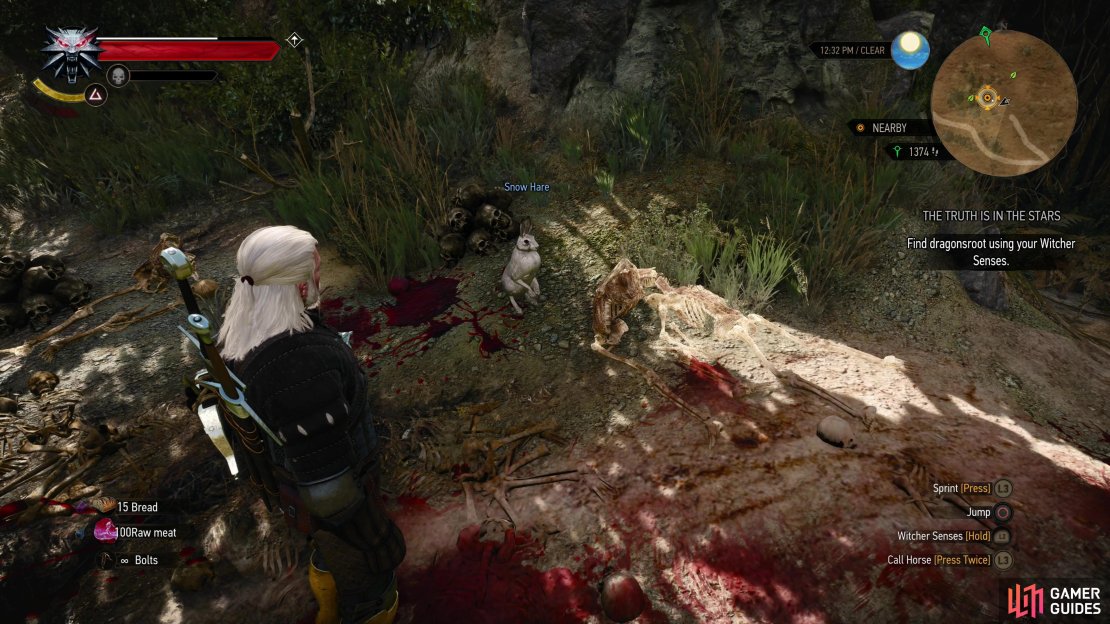 Head southwest to find a cave guarded by one dynamite bunny! Fortunately Witcher isn&rsquo;t on the menu, so head on past it.
