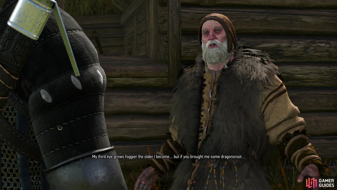 Give the Old Sage in Benek some food to get a reading, and when Geralt isn&rsquo;t impressed he&rsquo;ll be tasked with fetching some Dragonsroot.