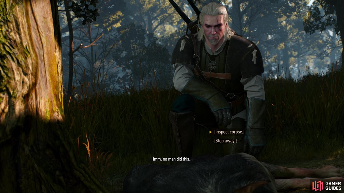 Search near where you killed the Wolves to find a disemboweled dog,