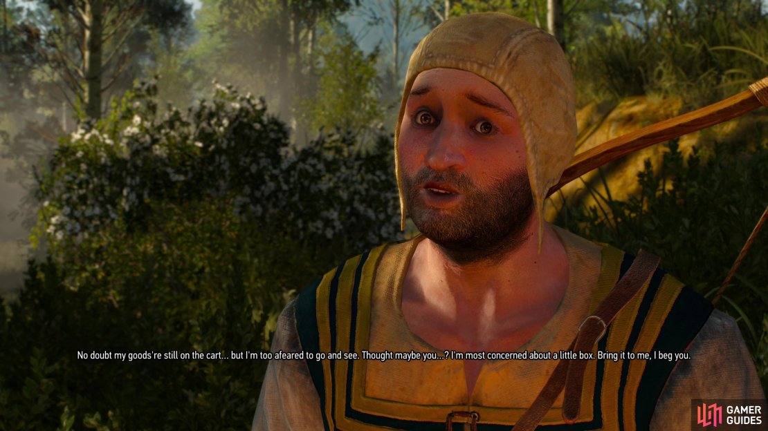 Talk to a merchant on the side of the road and he&rsquo;ll ask you to recover a box lost in a monster attack in the swamp.