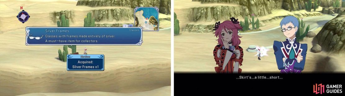 Get the Silver Frames and then check the save for a conversation about Cheria&rsquo;s skirt.