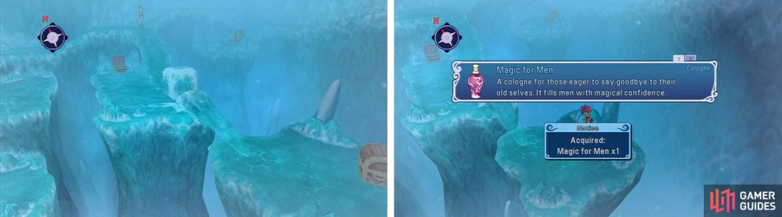 Ice block can knock over icicles to access new areas and items, like Malik&rsquo;s Magic for Men.