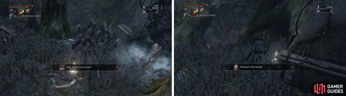 Follow the left wall for some Twin Blood Stone Shards and a Madman&rsquo;s Knowledge.