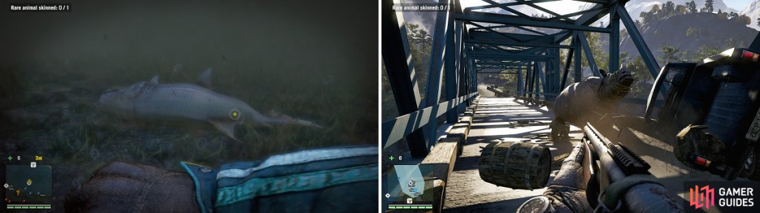 These quests will pit you against slightly stronger versions of the regular animals and you&rsquo;ll need to kill them with a specific type of weapon.