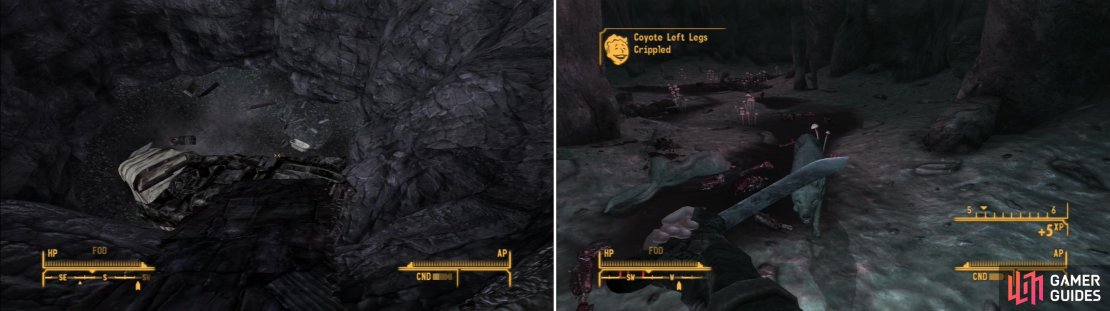 Descend into the Devil&rsquo;s Gullet by using a precarious ramp made of ruined vehicles and scrap (left). In the Goodpsrings Cave you&rsquo;ll find a pack of Coyotes guarding some corpses (right).
