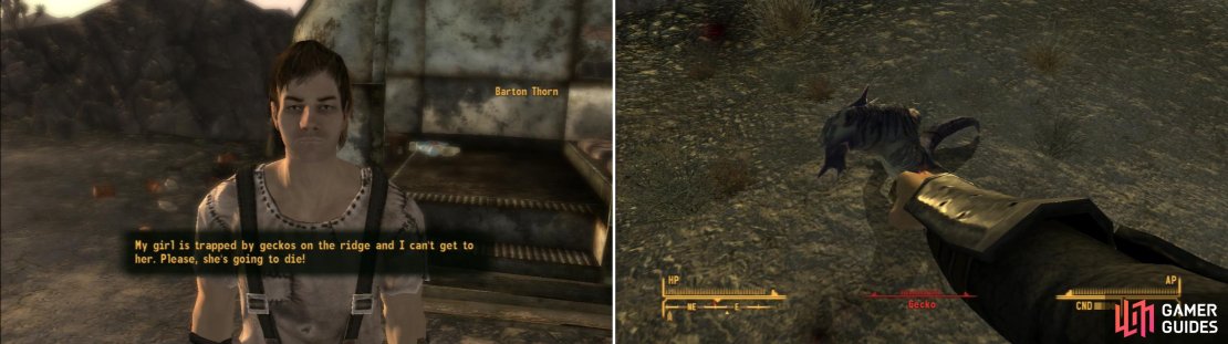 Barton Thorn will ask you to help him kill some Geckos near Goodsprings Source and save his girl (left). Kill the Geckos for him, but he may not be entirely up front about his motivations (right).