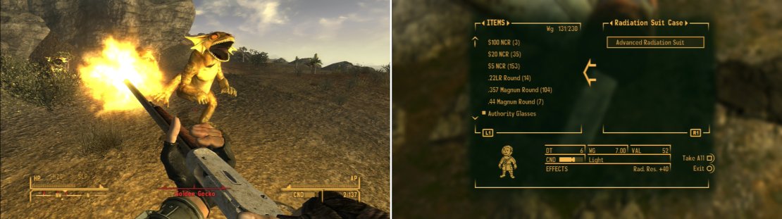 Golden Geckos aren&rsquo;t terribly sturdy, but have a powerful bite, making them safer to fight at a distance (left). In the Crescent Canyon you can find an Advanced Radiation Suit (righ) which will come in handy shortly.