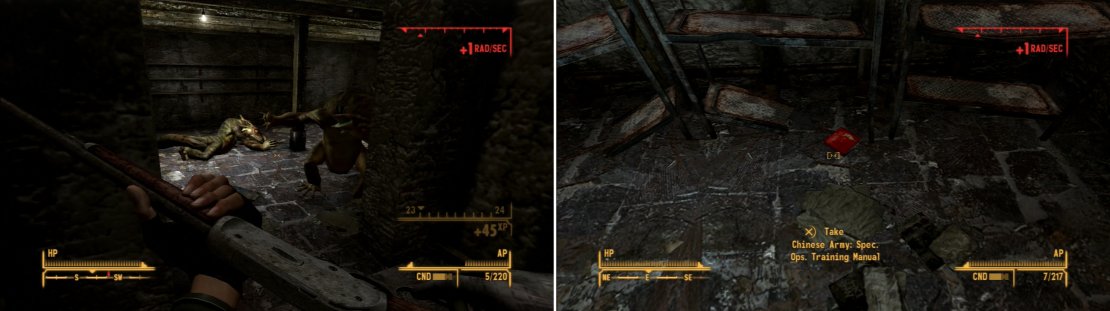 In the cellar of a church you&rsquo;ll find a nest of Golden Geckos (left). After they&rsquo;re dead, pick up the Chinese Spec. Ops. Training Manual (right).