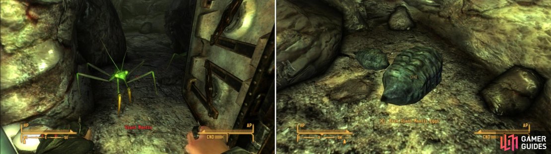 Beyond the door leading to the caves you&rsquo;ll find Giant Mantises (left). Kill them all and harvest their eggs to appease Red Lucy (right).